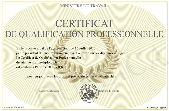 Comment Obtenir Et Gérer Un Certificat De Qualification Professionnelle ...