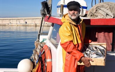 À Rennes, des marins-pêcheurs expriment leur ras-le-bol d’une profession en danger