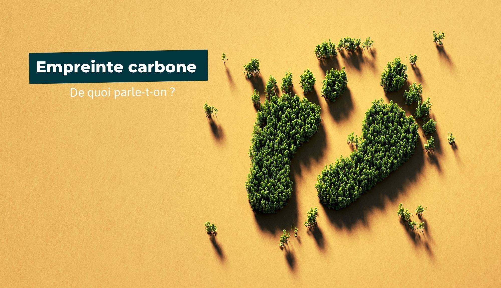 Une image d'un arbre avec les mots Bilan carbone.