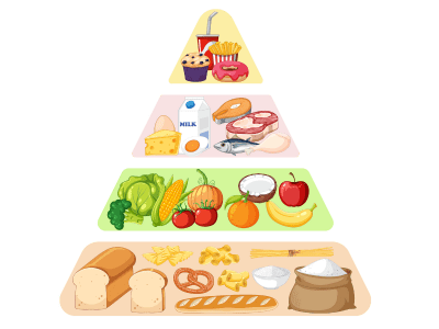 Formation nutrition diététique