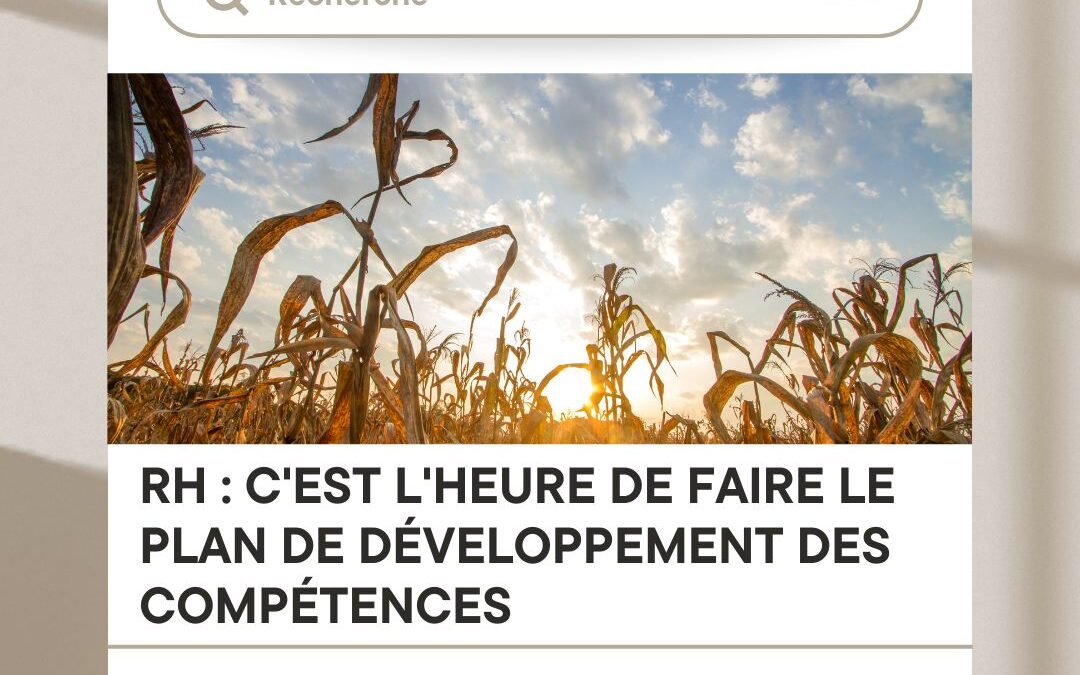 RH : C&rsquo;est l&rsquo;heure de faire le plan de développement des compétences