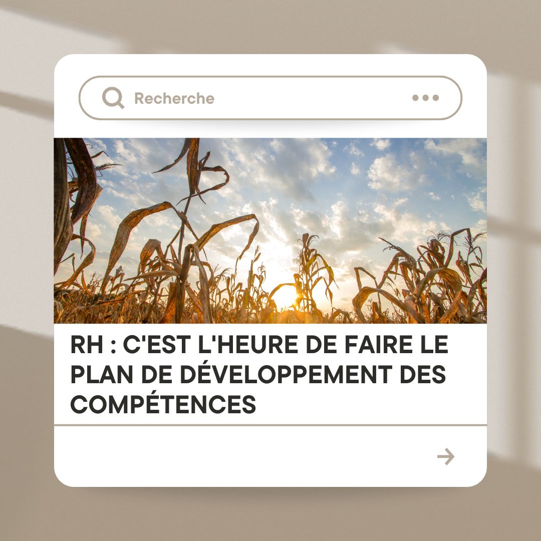 Illustration d’une équipe RH élaborant un plan de développement des compétences.