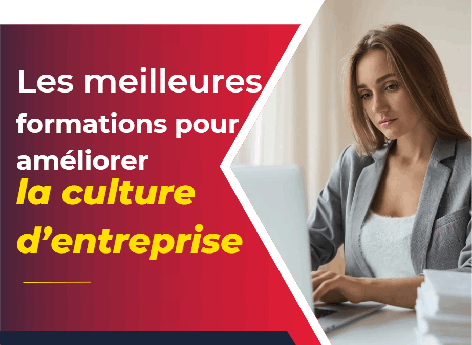 Les meilleures formations pour améliorer la culture d’entreprise