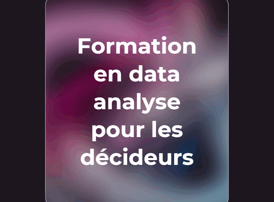 Formation en data analyse pour les décideurs