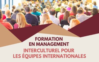 Formation en management interculturel pour les équipes internationales.