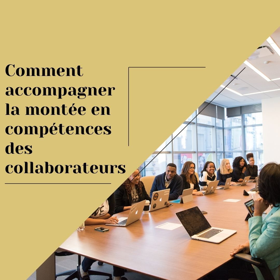 Accompagnement de la montée en compétences des collaborateurs en entreprise